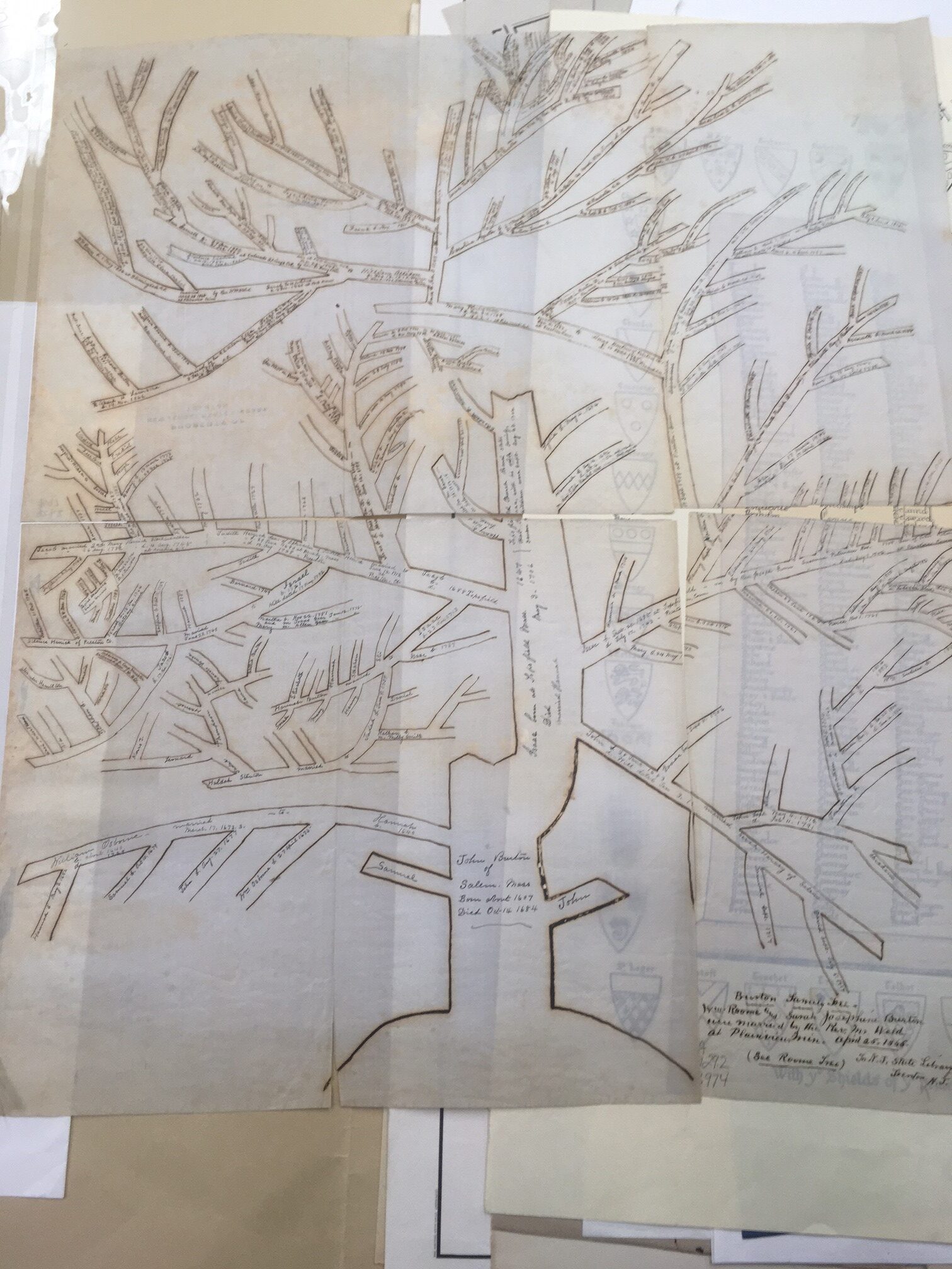 Research Library Spotlight: Genealogy Charts and Family Trees - New Jersey  State Library