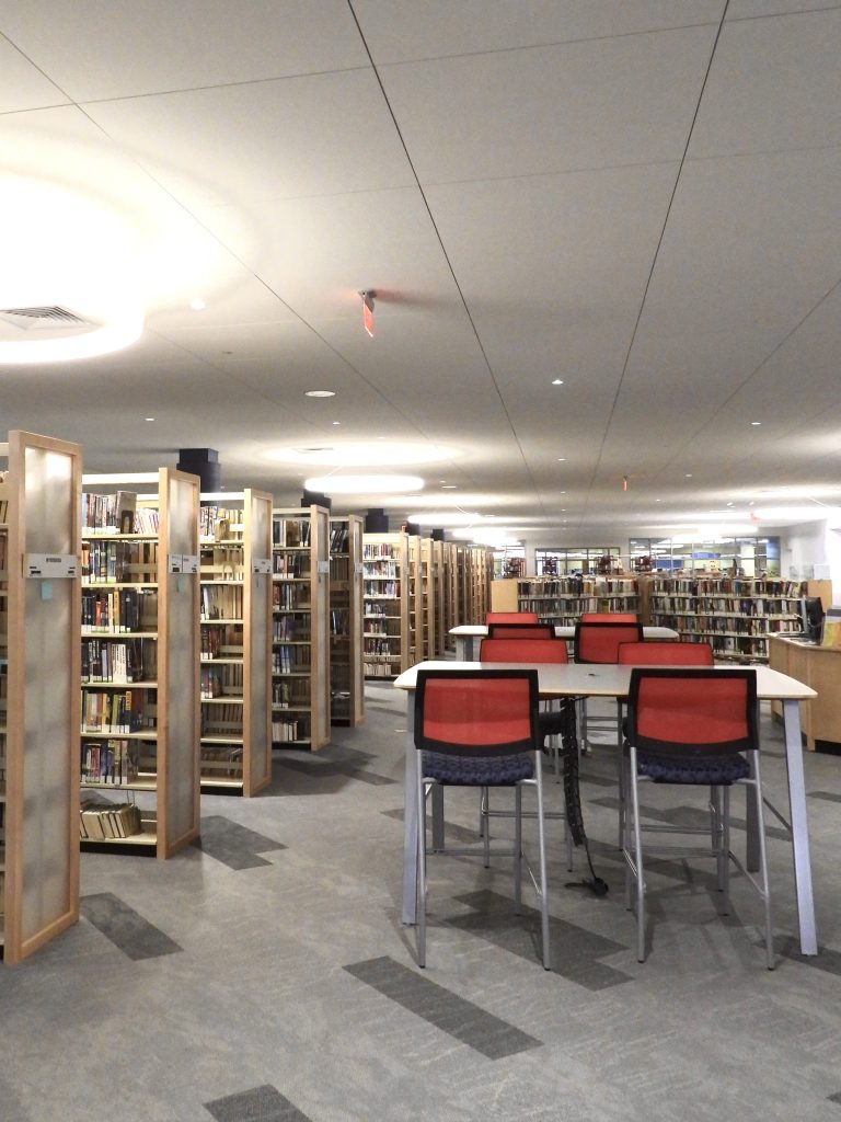 Main Floor with Book Shelves and Seating Area