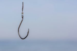 A photo of a fishing hook.